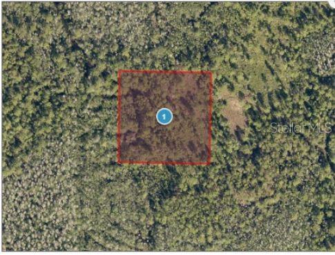 Property for sale at SALYERS ROAD, CLERMONT, FL, 34714
