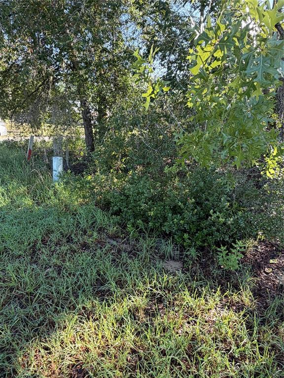 Property for sale at ALASKA AVENUE, INTERLACHEN, FL, 32148