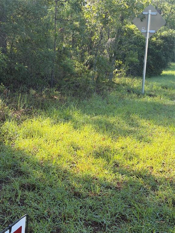 Property for sale at ALASKA AVENUE, INTERLACHEN, FL, 32148