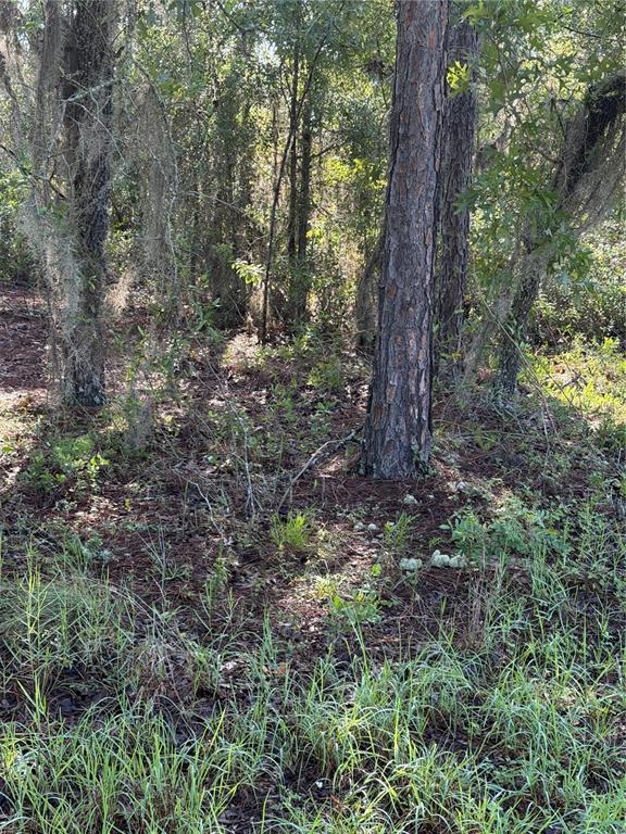 Property for sale at ALASKA AVENUE, INTERLACHEN, FL, 32148