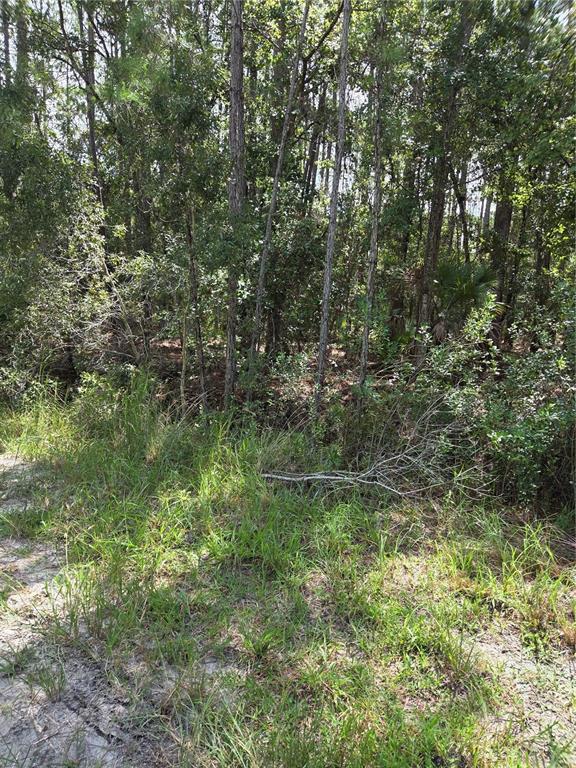 Property for sale at SW 140TH AVE, OCALA, FL, 34481