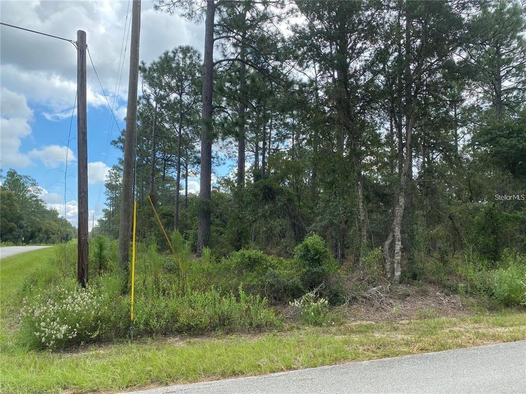 Property for sale at 00 SW BUENA VISTA ROAD, DUNNELLON, FL, 34431