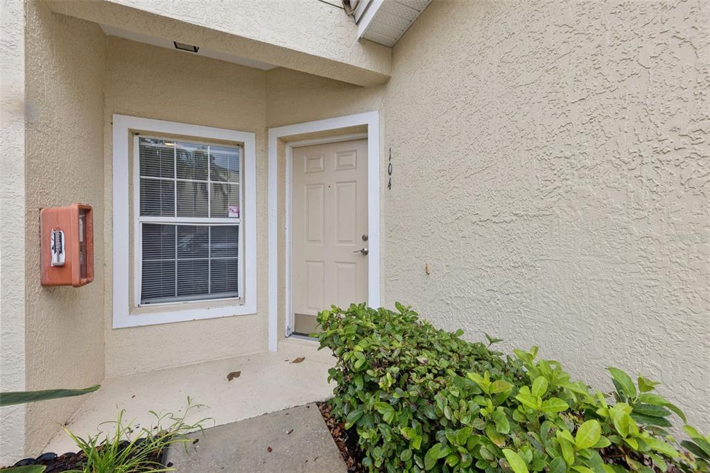 Front Door/ Porch