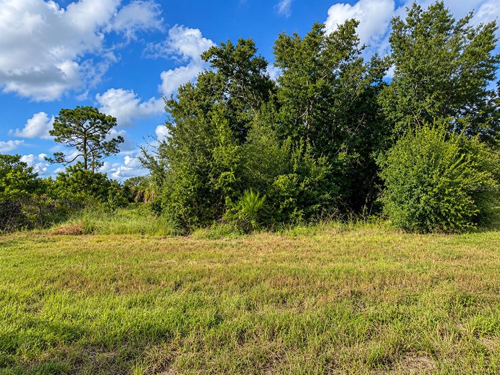 Property for sale at 16 POLAR COURT, PLACIDA, FL, 33946