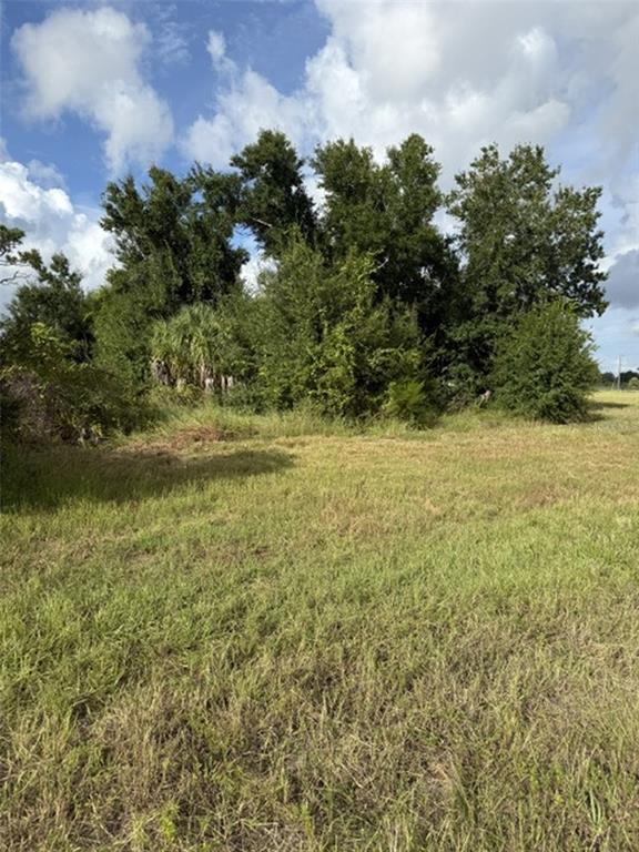 Property for sale at 16 POLAR COURT, PLACIDA, FL, 33946