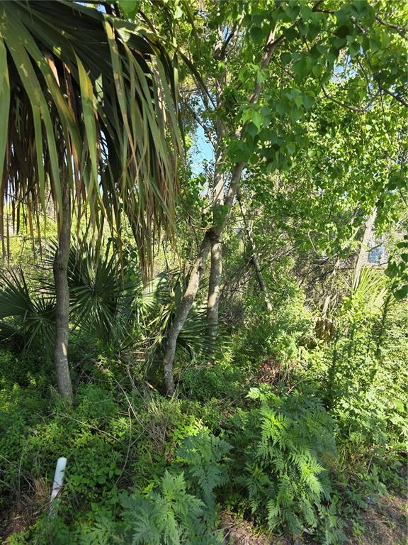 Property for sale at 226 WALNUT AVENUE, ORANGE CITY, FL, 32763