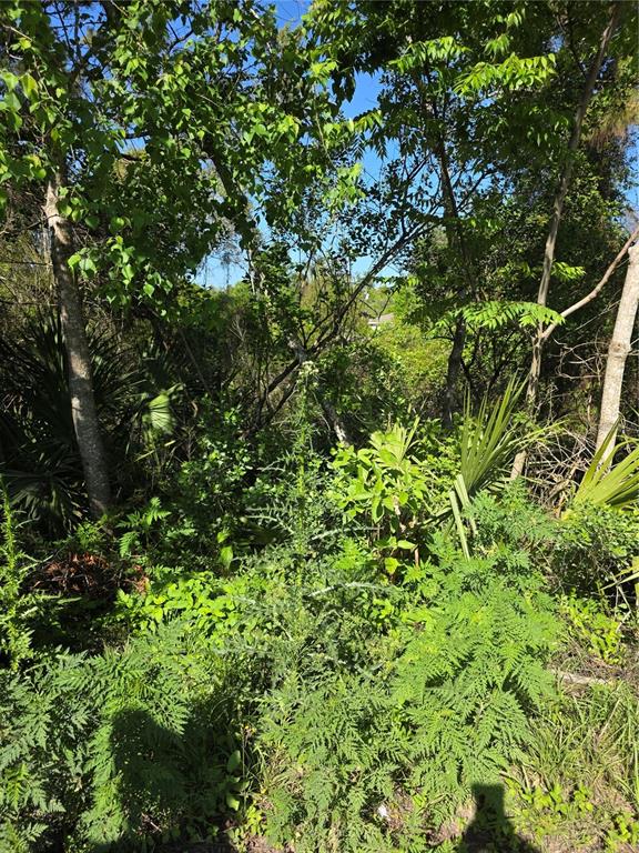 Property for sale at 226 WALNUT AVENUE, ORANGE CITY, FL, 32763