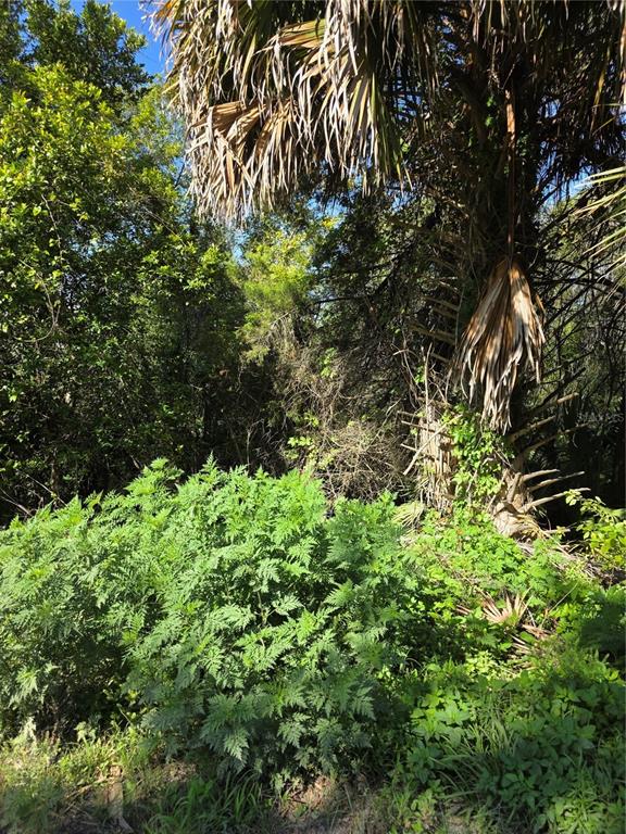 Property for sale at 226 WALNUT AVENUE, ORANGE CITY, FL, 32763