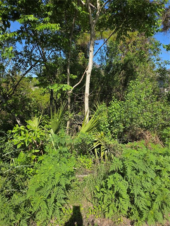 Property for sale at 226 WALNUT AVENUE, ORANGE CITY, FL, 32763