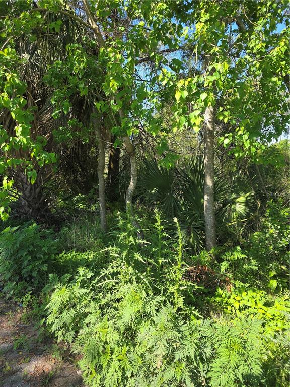 Property for sale at 226 WALNUT AVENUE, ORANGE CITY, FL, 32763