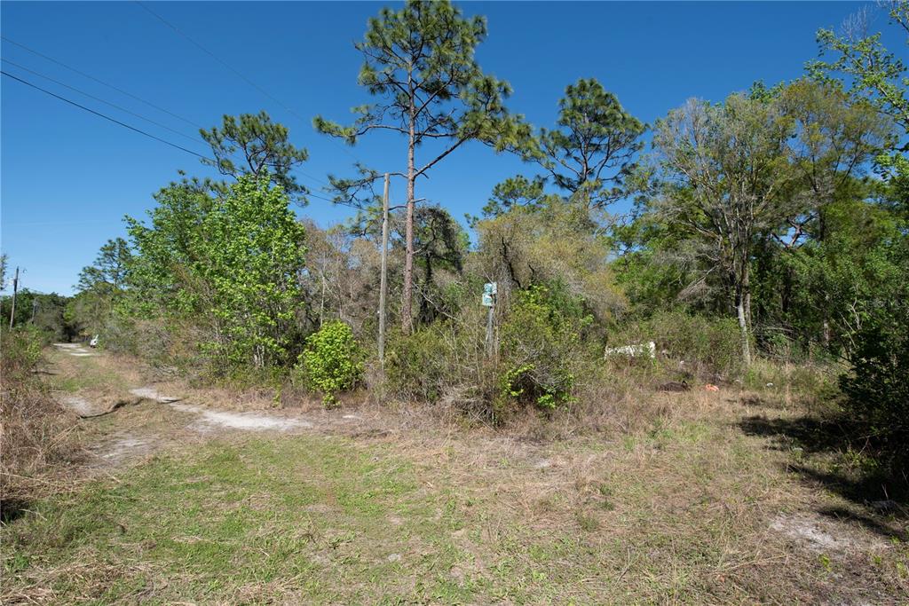 12934 Tanner Rd, NPR Vacant Lot