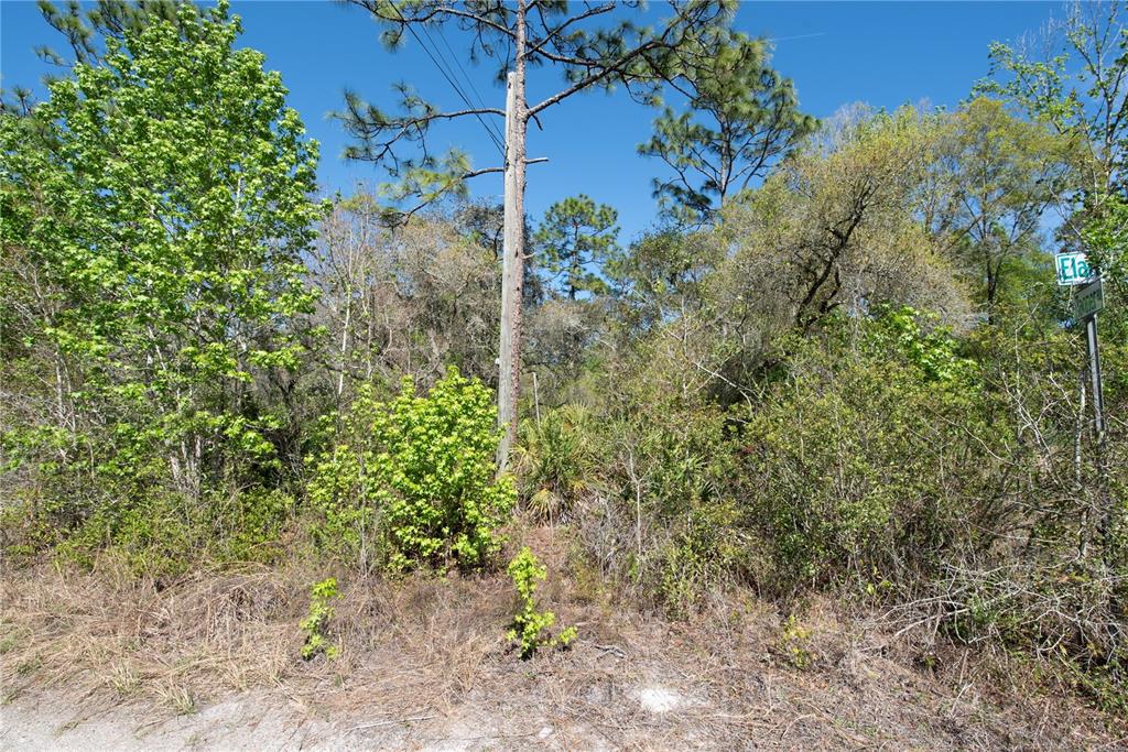 Property for sale at 12934 TANNER ROAD, NEW PORT RICHEY, FL, 34654