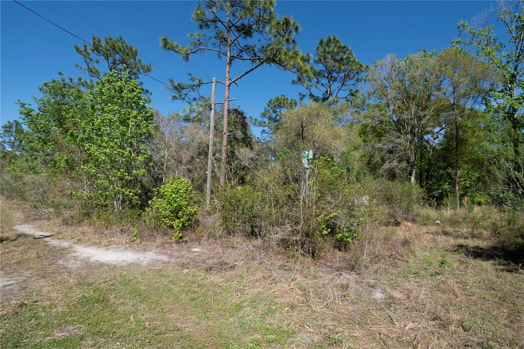 Property for sale at 12934 TANNER ROAD, NEW PORT RICHEY, FL, 34654