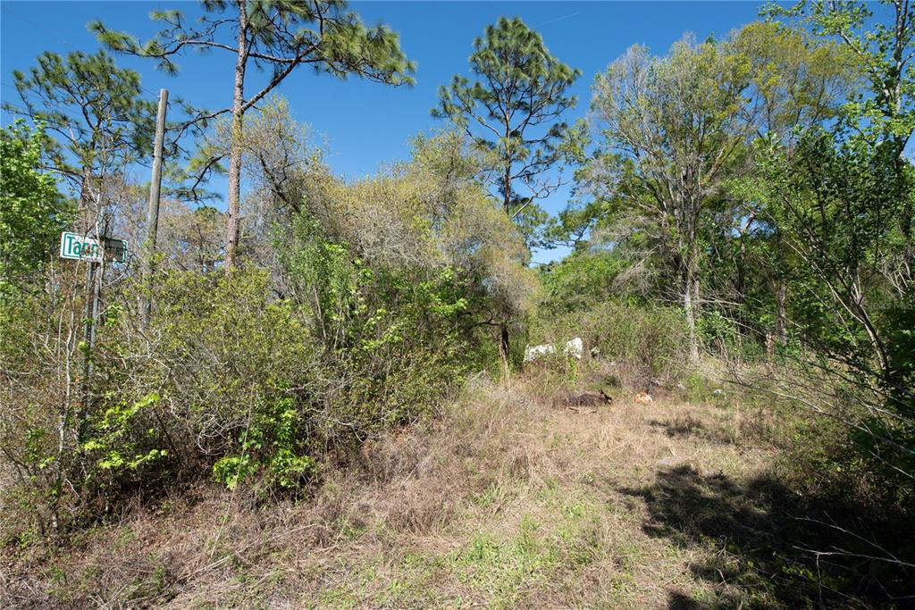 Property for sale at 12934 TANNER ROAD, NEW PORT RICHEY, FL, 34654