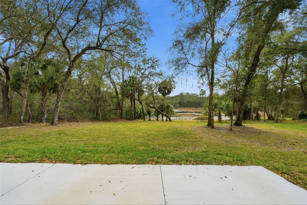 Property for sale at 16450 SE 57TH PLACE, OCKLAWAHA, FL, 32179