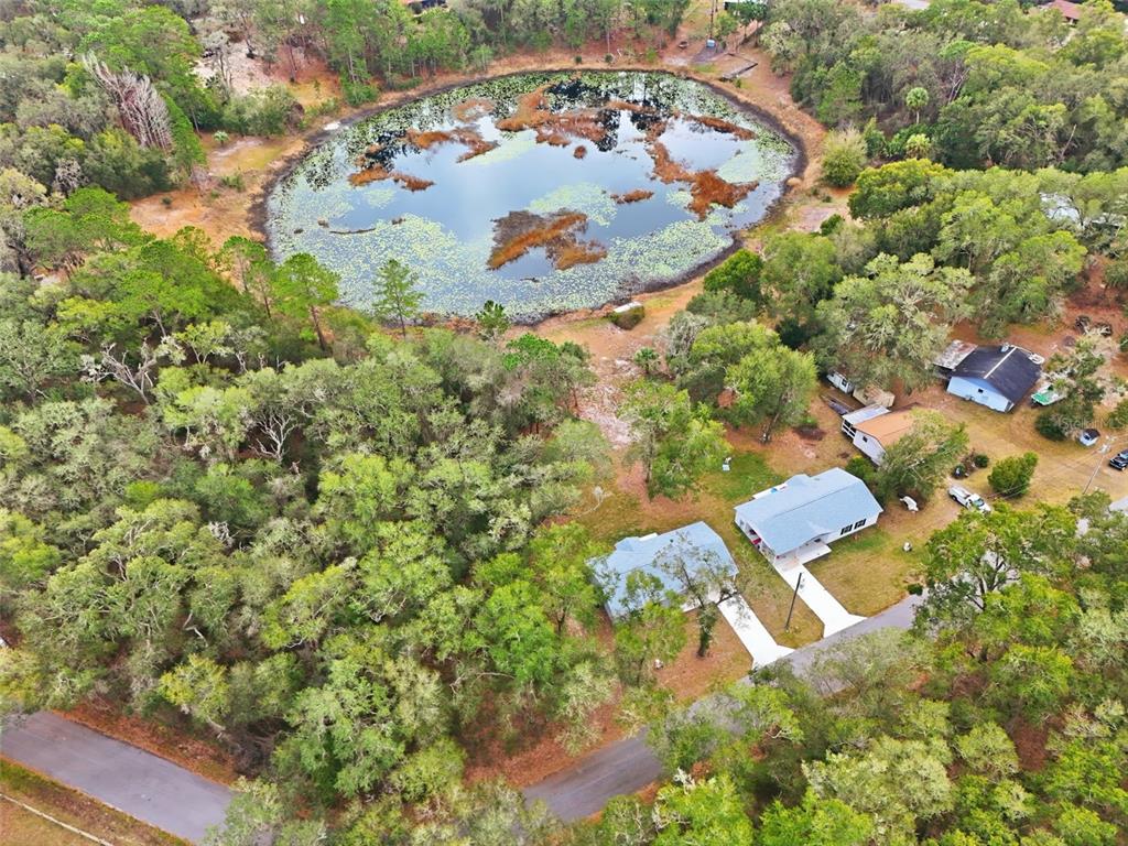 Property for sale at 16450 SE 57TH PLACE, OCKLAWAHA, FL, 32179