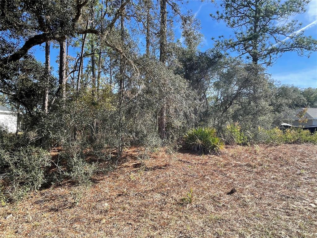 Property for sale at 11475 N KENNEY LOOP, DUNNELLON, FL, 34433