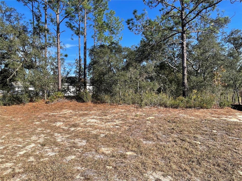 Property for sale at 11475 N KENNEY LOOP, DUNNELLON, FL, 34433