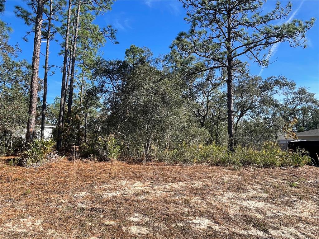 Property for sale at 11475 N KENNEY LOOP, DUNNELLON, FL, 34433