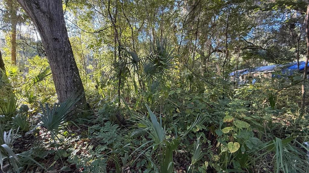 Property for sale at 107 1ST STREET, CRESCENT CITY, FL, 32112