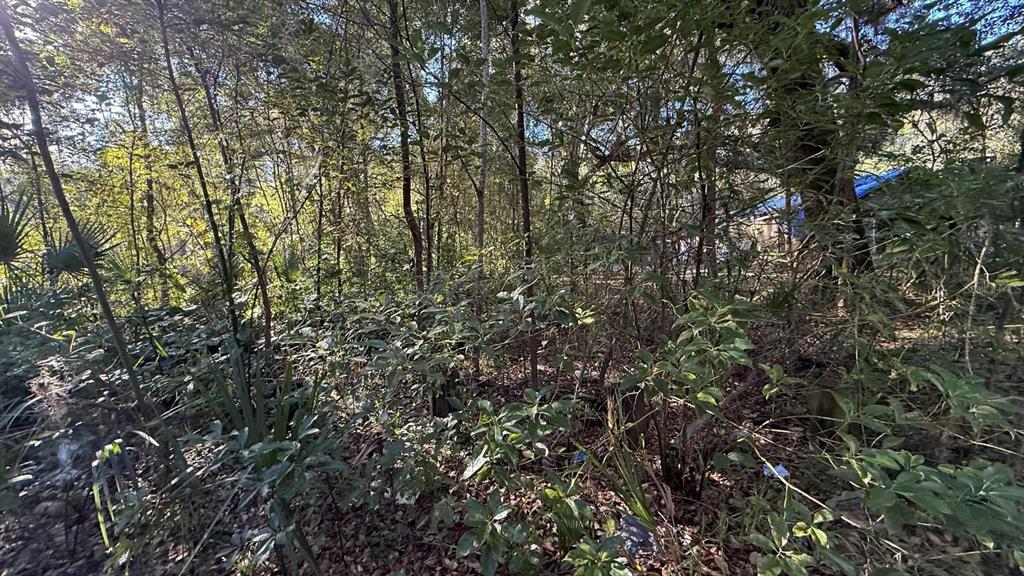 Property for sale at 107 1ST STREET, CRESCENT CITY, FL, 32112