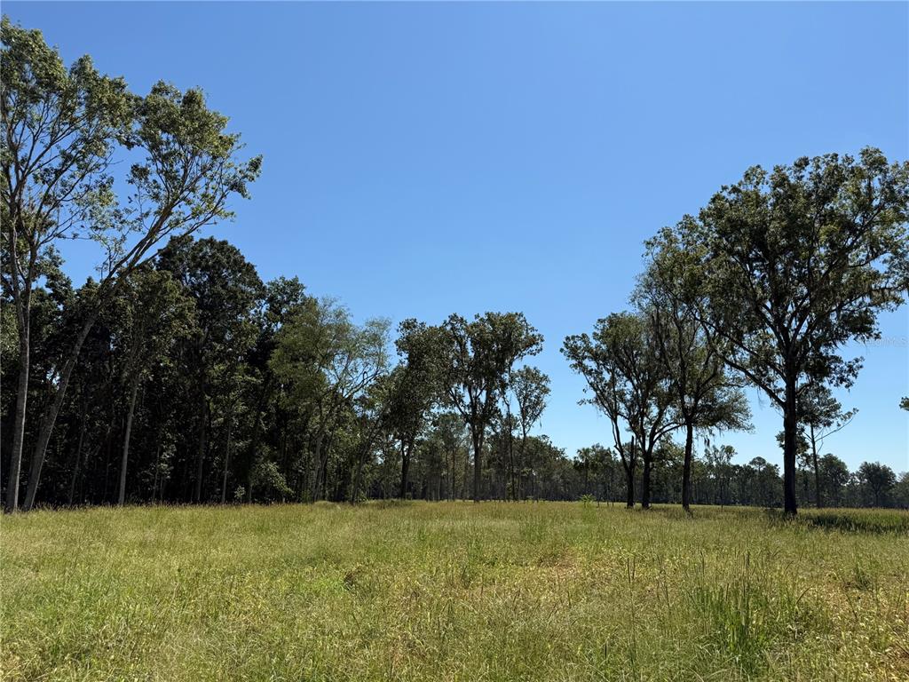 Property for sale at 62ac NW 193RD ST, MICANOPY, FL, 32667