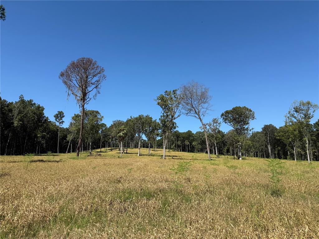 Property for sale at 62ac NW 193RD ST, MICANOPY, FL, 32667