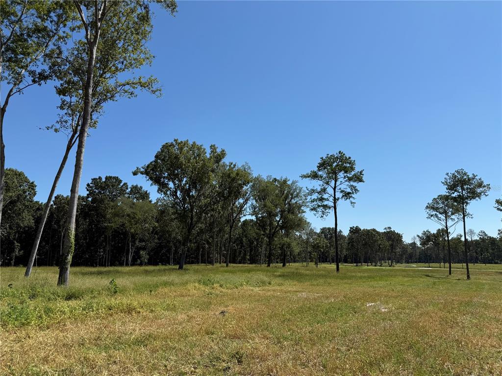 Property for sale at 62ac NW 193RD ST, MICANOPY, FL, 32667