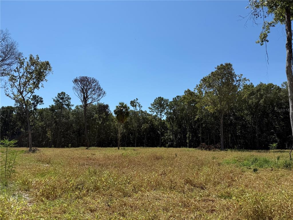 Property for sale at 62ac NW 193RD ST, MICANOPY, FL, 32667