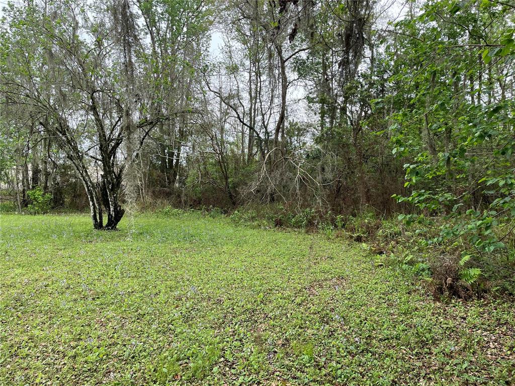 Property for sale at 7419 BUCK HOPE ROAD, BROOKSVILLE, FL, 34601