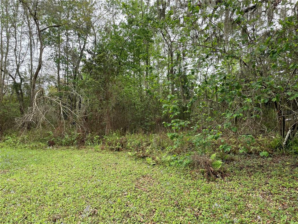 Property for sale at 7419 BUCK HOPE ROAD, BROOKSVILLE, FL, 34601