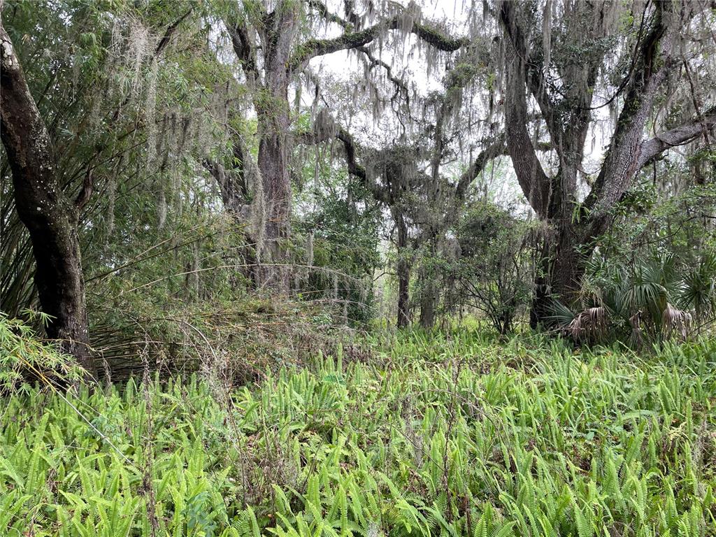 Property for sale at 7419 BUCK HOPE ROAD, BROOKSVILLE, FL, 34601