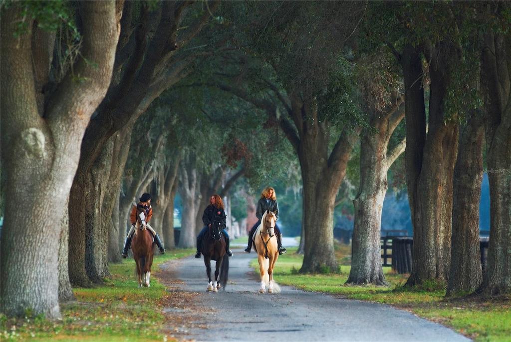 Property for sale at 0 SE 8TH AVENUE Lot 5, OCALA, FL, 34480