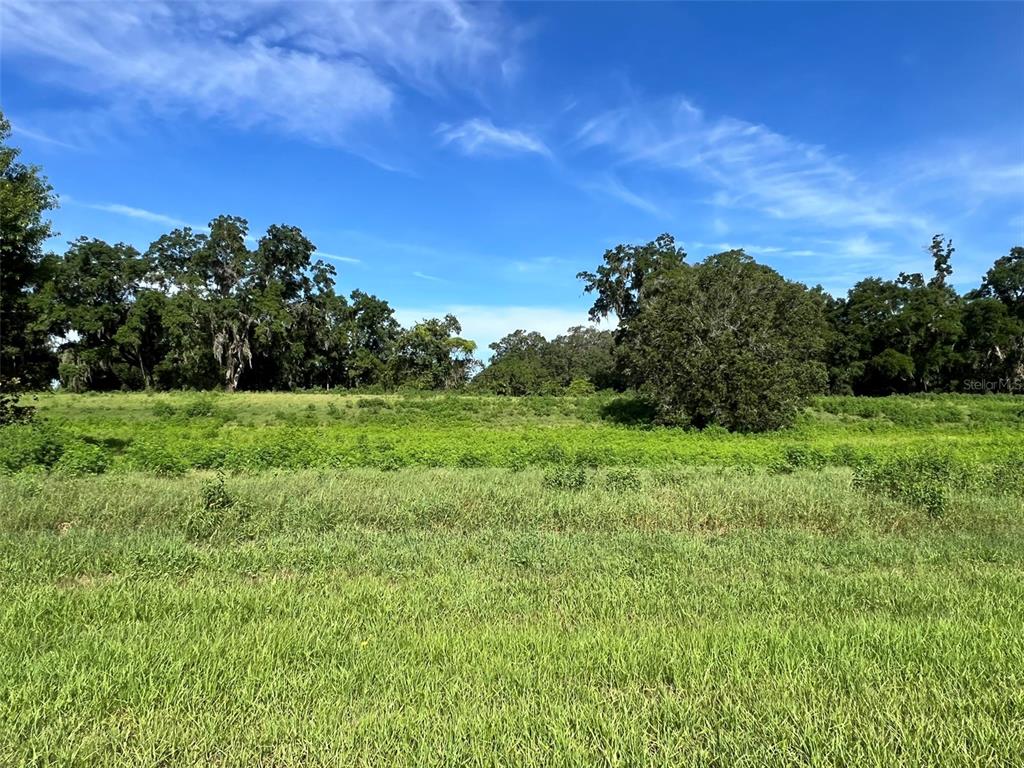 Property for sale at 0 SE 8TH AVENUE Lot 5, OCALA, FL, 34480
