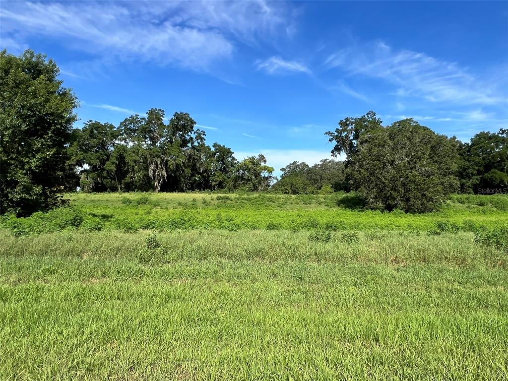 Property for sale at 0 SE 8TH AVENUE Lot 5, OCALA, FL, 34480