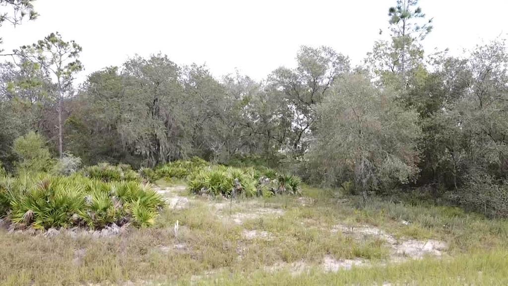 Property for sale at 1405 SARASOTA COURT, POINCIANA, FL, 34759