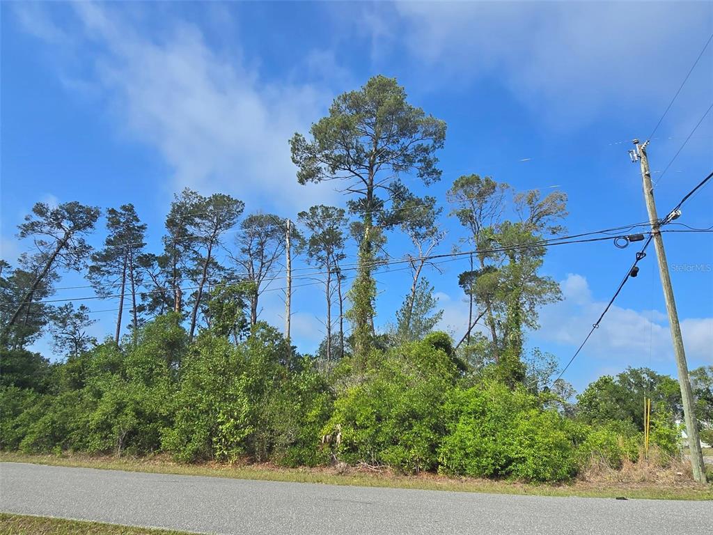 Property for sale at 10044 NODDY TERN ROAD, WEEKI WACHEE, FL, 34613