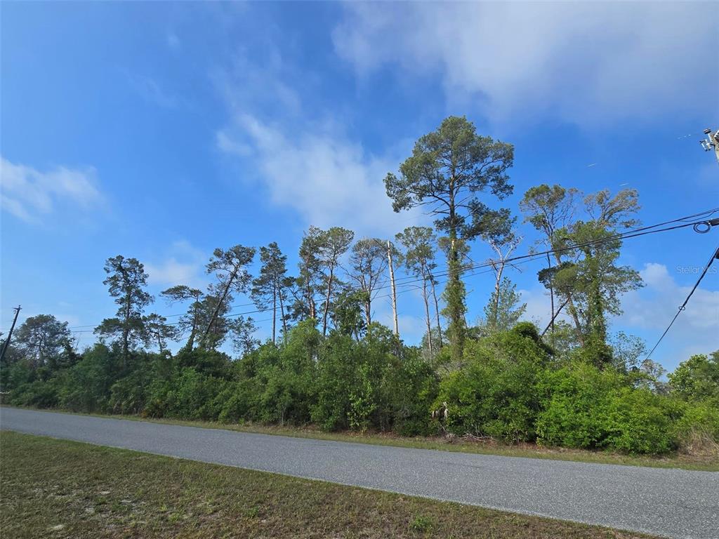 Property for sale at 10044 NODDY TERN ROAD, WEEKI WACHEE, FL, 34613