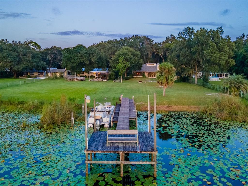 Property for sale at 25212 E HIGHWAY 316, SALT SPRINGS, FL, 32134