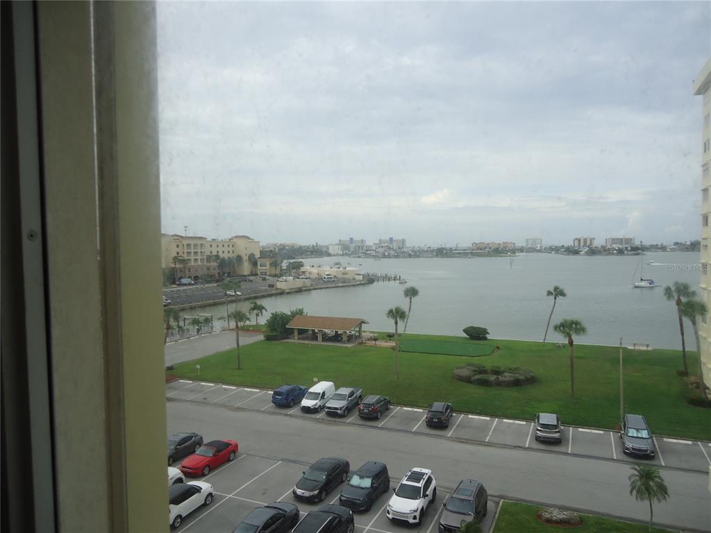 THE VIEW