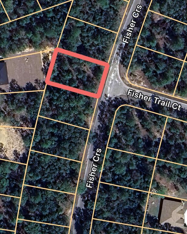 Property for sale at 0 FISHER COURSE UNIT 9, OCKLAWAHA, FL, 32179