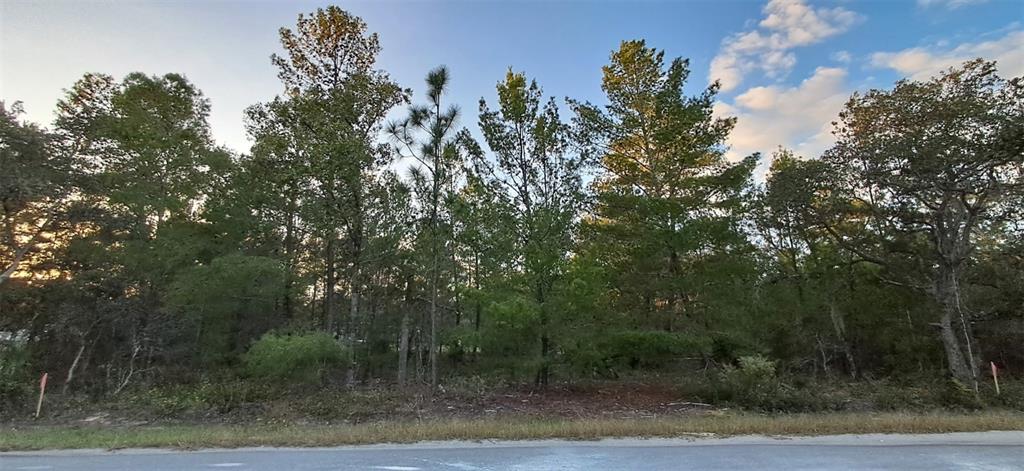 Property for sale at 0 FISHER COURSE UNIT 9, OCKLAWAHA, FL, 32179