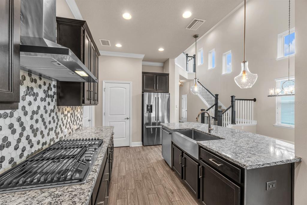 Property for sale at 14116 NATURES RESERVE DRIVE, LITHIA, FL, 33547