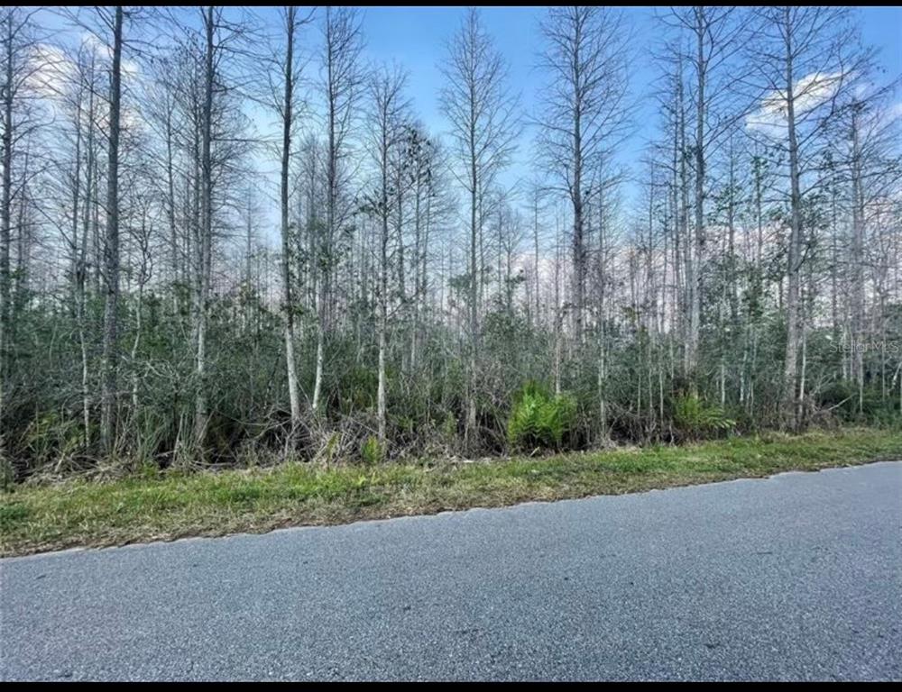 Property for sale at LUNA DR, ST CLOUD, FL, 34773