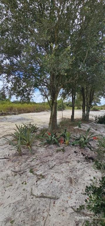 Property for sale at 18398 NW 286TH STREET, OKEECHOBEE, FL, 34972