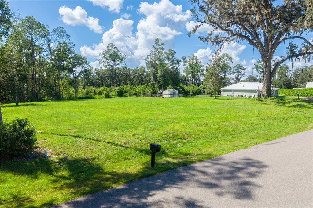 Property for sale at SW 9TH ST, WILLISTON, FL, 32696