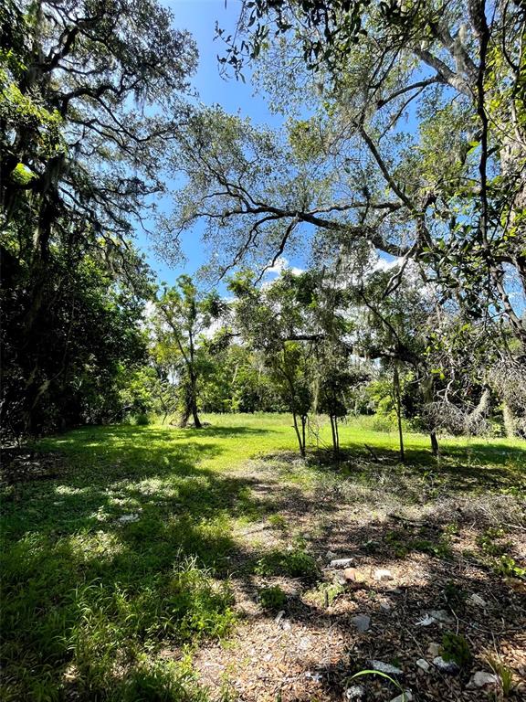 Property for sale at 194 E 11TH STREET, APOPKA, FL, 32703