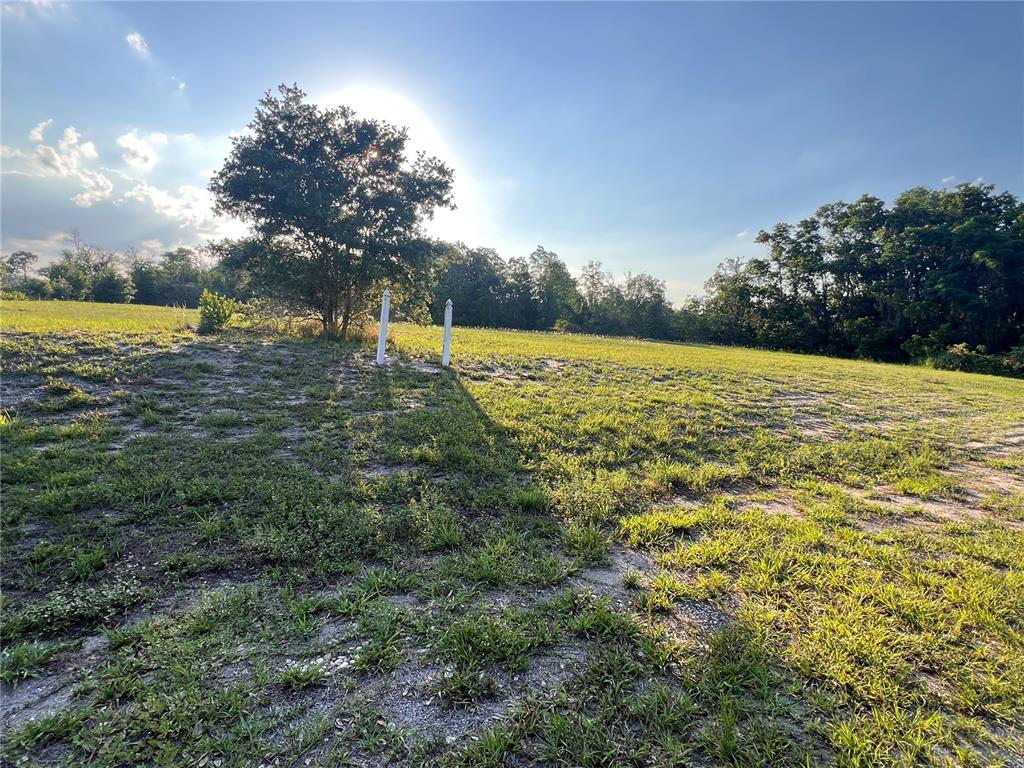 front property view