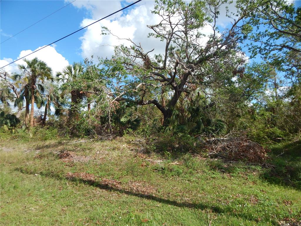 Property for sale at 1292 EPPINGER DRIVE, PORT CHARLOTTE, FL, 33953