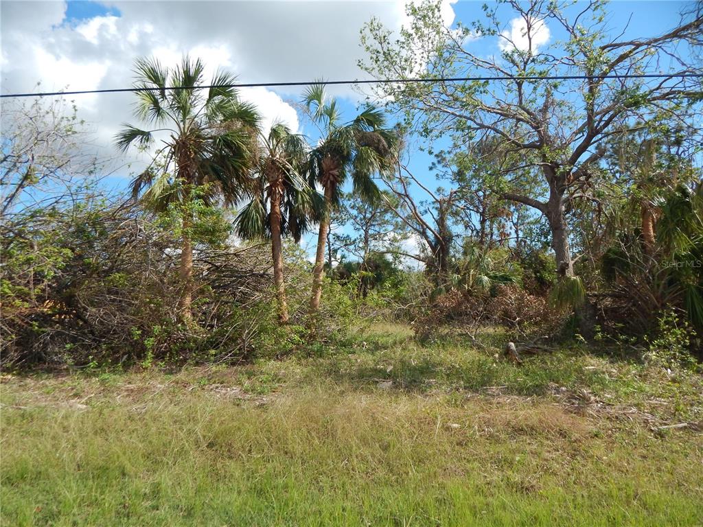 Property for sale at 1292 EPPINGER DRIVE, PORT CHARLOTTE, FL, 33953